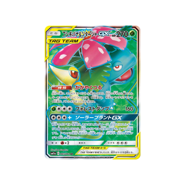 Carte Pokémon Combat Remix SM11A 065 064 : Florizarre & Vipélierre GX Mode